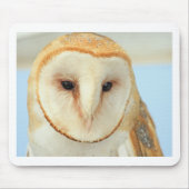 Barn owl muismat (Voorkant)