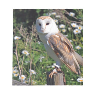 Barn Owl Notitieblok