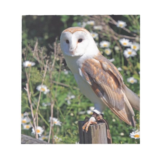 Barn Owl Notitieblok (Voorkant)