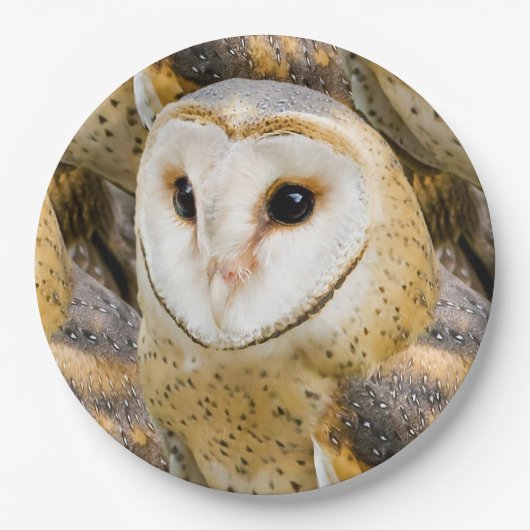 Barn Owl Papieren Bordje (Voorkant)