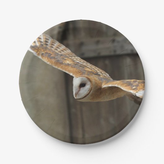 Barn Owl Papieren Bordje (Voorkant)