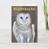 Barn Owl Photo Funny Birthday Kaart (Voorkant)