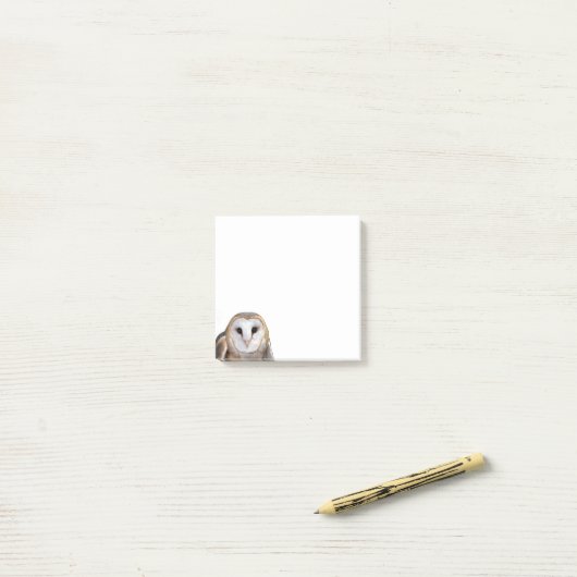 Barn Owl Photo Post-it Notes Papeterie (Sur un bureau)