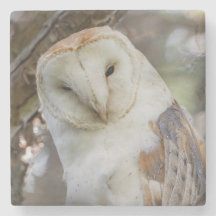 Barn Owl Portrait Stone Onderzetter