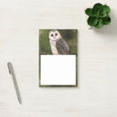 Barn Owl Post-it® notes (Kantoor)