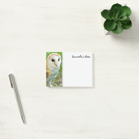 Barn Owl Post-It Notes (Kantoor)