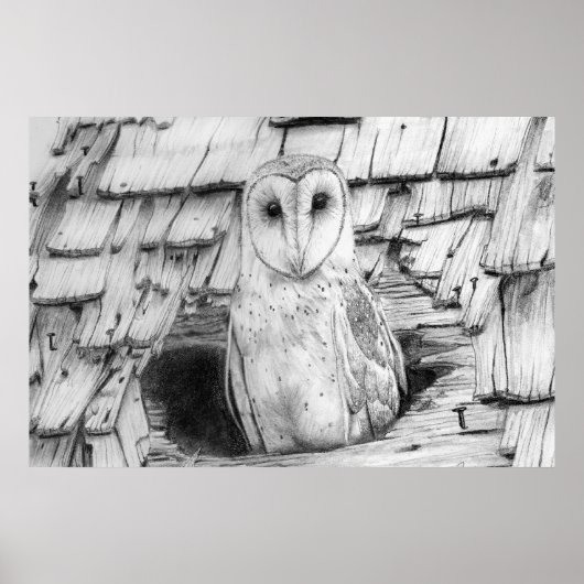 Barn Owl Poster (Voorkant)