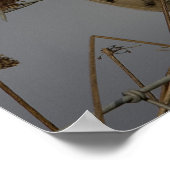 Barn Owl Poster (Hoek)