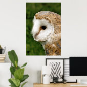 BARN OWL POSTER (Thuiskantoor)