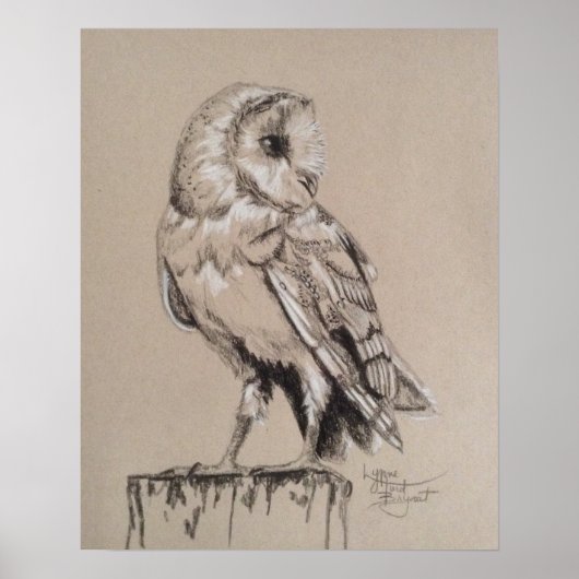 Barn Owl Poster (Voorkant)