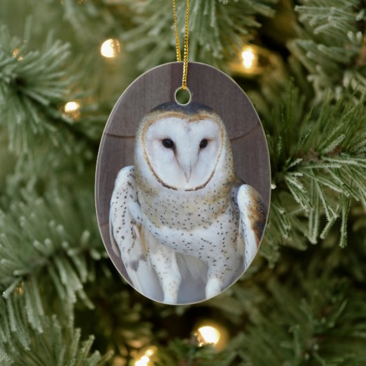Barn Owl Raptor Foto Keramisch Ornament (Boom)