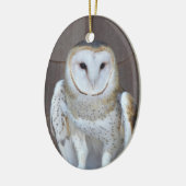 Barn Owl Raptor Foto Keramisch Ornament (Links)