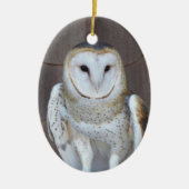 Barn Owl Raptor Foto Keramisch Ornament (Voorkant)