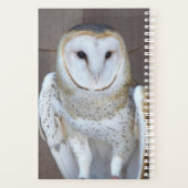 Barn Owl Raptor Foto Planner (Achterkant)