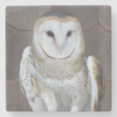 Barn Owl Raptor Foto Stenen Onderzetter (Voorkant)