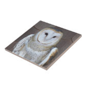 Barn Owl Raptor Foto Tegeltje (Zijkant)