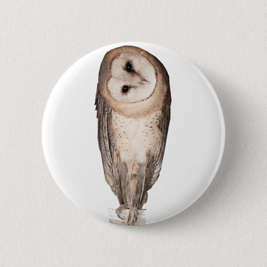 Barn owl ronde button 5,7 cm (Voorkant)