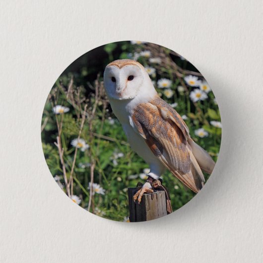 Barn Owl Ronde Button 5,7 Cm (Voorkant)