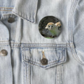 Barn Owl Round Button (In situ)