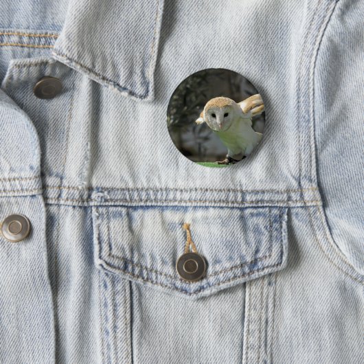 Barn Owl Round Button (In situ)