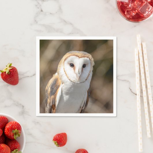 Barn Owl Servetten (Insitu)