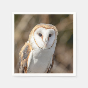 Barn Owl Servetten