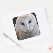 Barn Owl Sticker (Envelop)