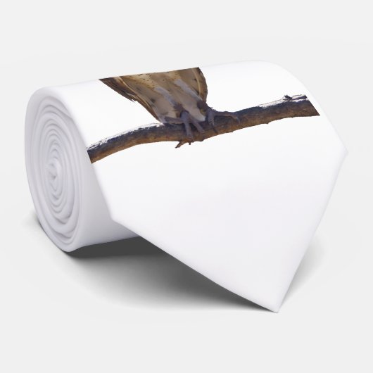 Barn Owl Stropdas (Opgerold)