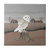 Barn Owl Tegeltje (Voorkant)