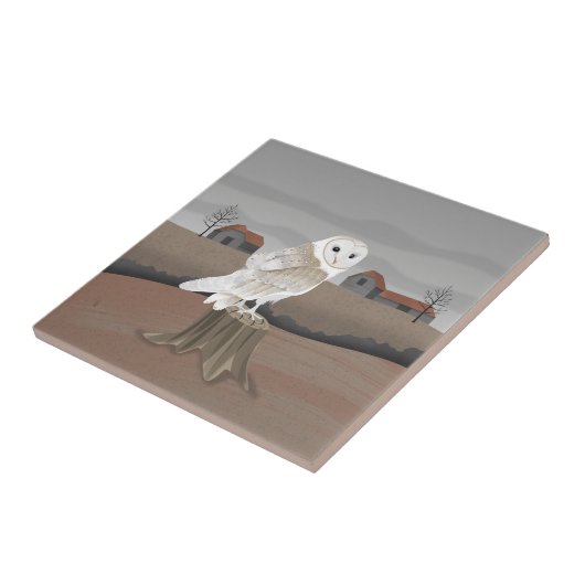 Barn Owl Tegeltje (Zijkant)
