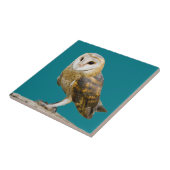 Barn Owl Tegeltje (Zijkant)