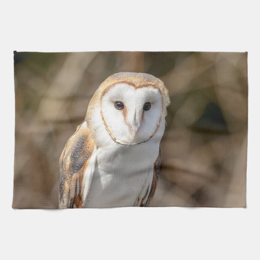 Barn Owl Theedoek (Horizontaal)