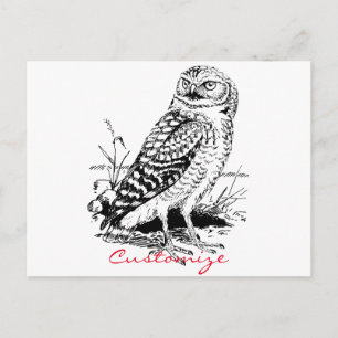 Barn Owl Thunder_Cove Briefkaart