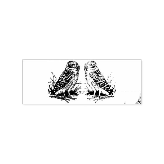 Barn Owl Thunder_Cove Rubberstempel (Afrduk)