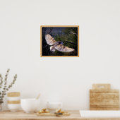 Barn Owl tijdens de vlucht Poster (Keuken)