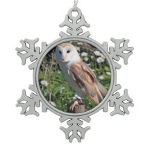 Barn Owl
