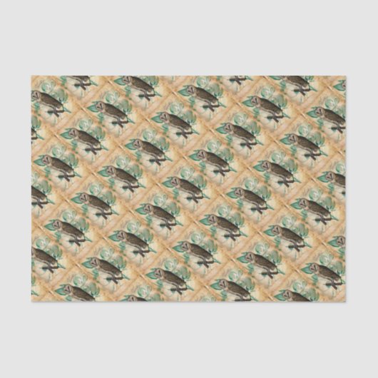 Barn Owl  Tissuepapier (Voorkant)