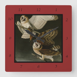 Barn Owl (Tyto alba) Audubon's Birds of America Vierkante Klok