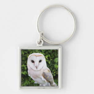 Barn owl (Tyto Alba) over handschoenen Sleutelhanger