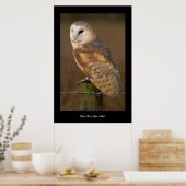 Barn Owl (Tyto alba). Poster (Keuken)