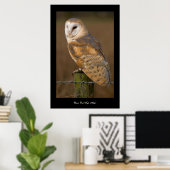 Barn Owl (Tyto alba). Poster (Thuiskantoor)