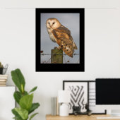Barn Owl (Tyto alba). Poster par cARTerART (Bureau à domicile)