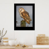 Barn Owl (Tyto alba). Poster par cARTerART (Cuisine)