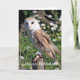 Barn Owl Verjaardag Kaart