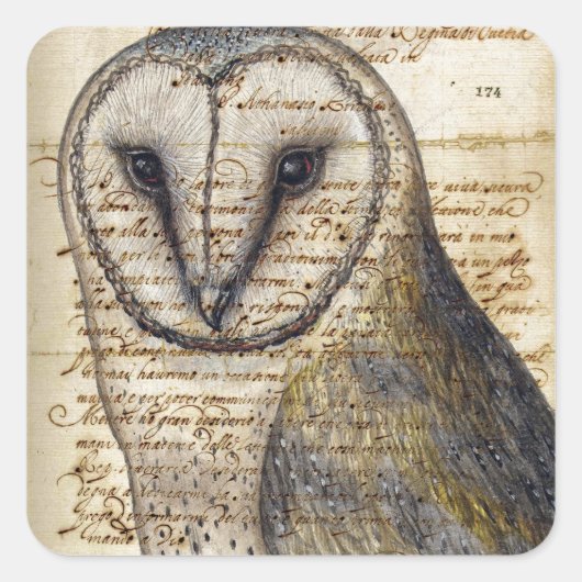 Barn Owl Vierkante Sticker (Voorkant)