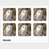 Barn Owl Vierkante Sticker (Vel)