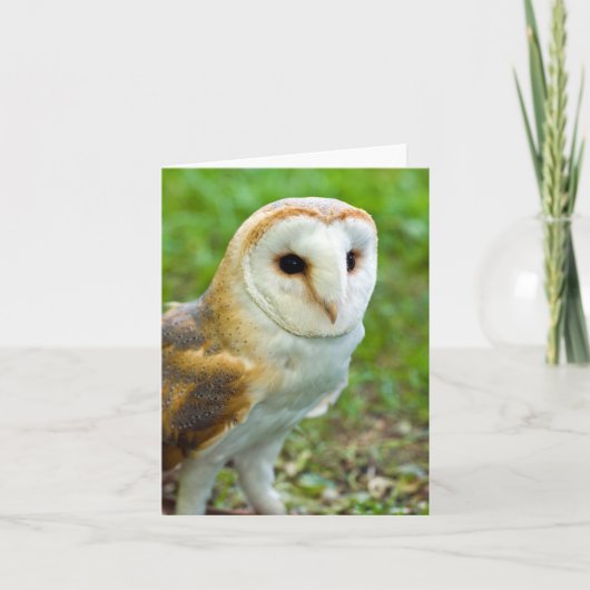 Barn Owl Wenskaart Bedankkaart (Voorkant)
