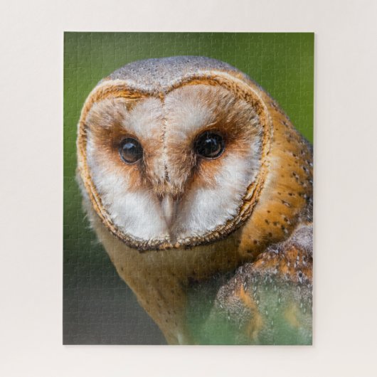 Barn Owls - Birds of Prey. Legpuzzel (Verticaal)