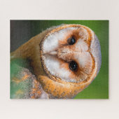 Barn Owls - Birds of Prey. Legpuzzel (Horizontaal)