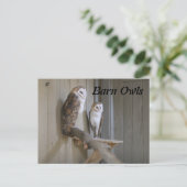 Barn Owls Briefkaart (Staand voorkant)